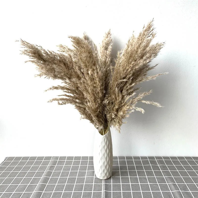 Dried Pampas Grass Decor