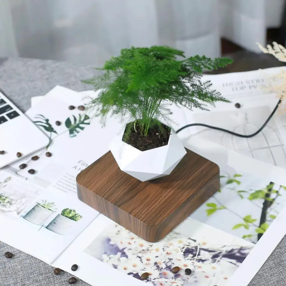 Mystic Hovering Bonsai Pot