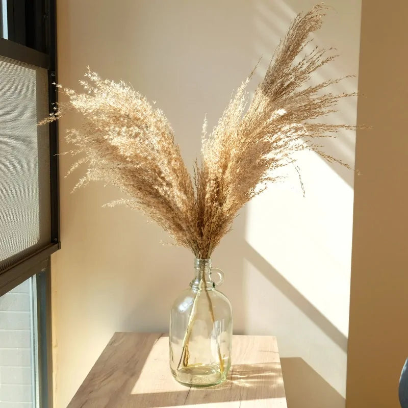 Dried Pampas Grass Decor
