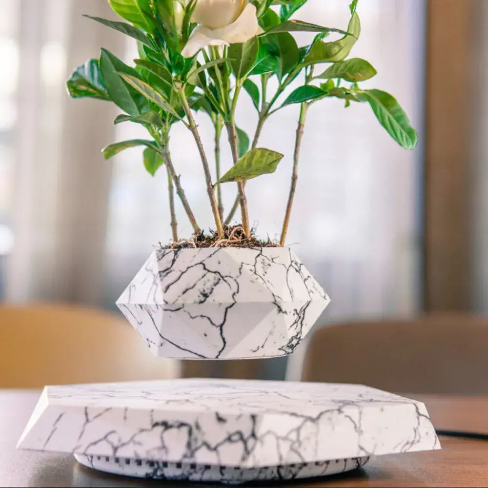 Mystic Hovering Bonsai Pot