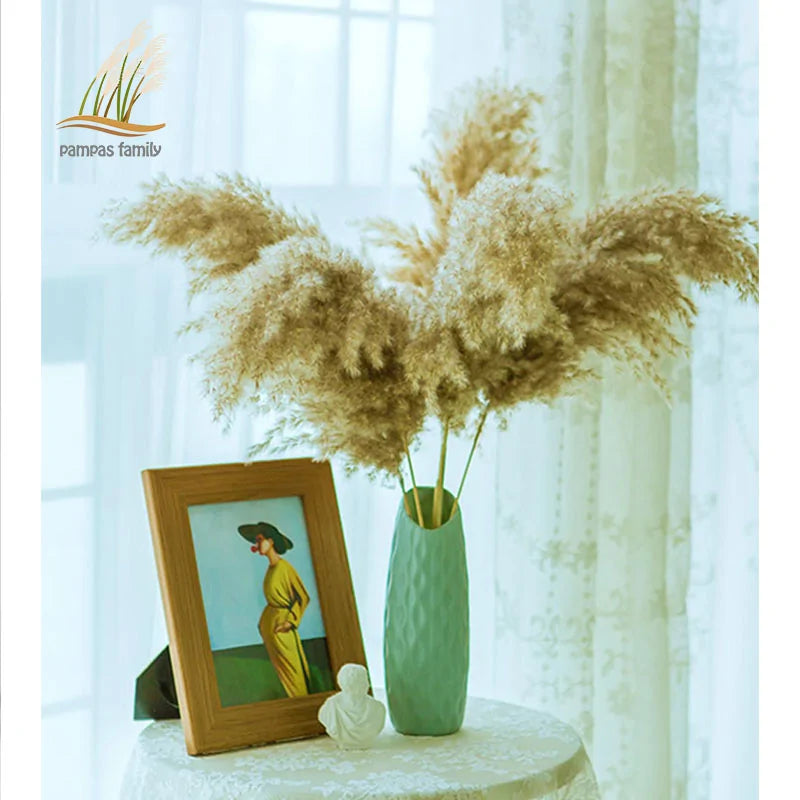 Dried Pampas Grass Decor