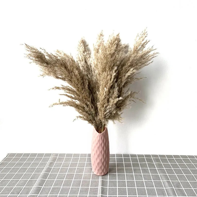 Dried Pampas Grass Decor