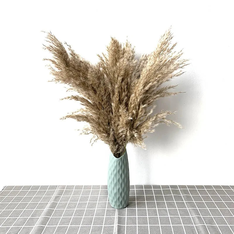 Dried Pampas Grass Decor
